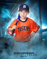 TB_TIGERS_ROUSER_Landon_DLL11525_DUGOUT_