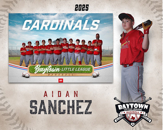 MJR_Cardinals_Sanchez_Aidan_BAY29914_MM