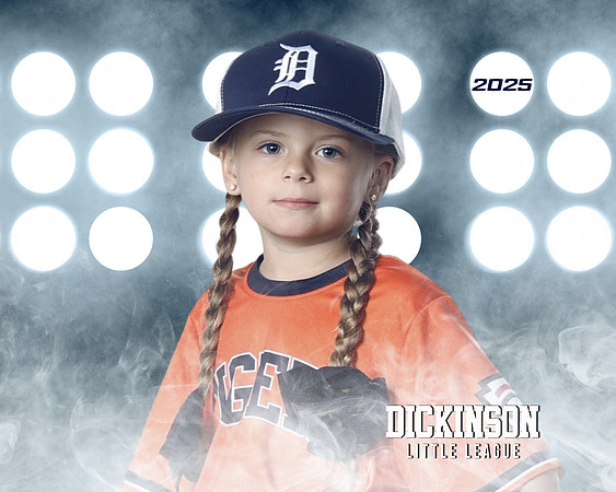 TB_TIGERS_Shafer_Harper_DLL12296_LIT