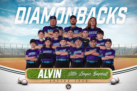 MINORS_DIAMONDACKS_10U