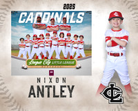 CP.Gibson.Cardinals_Antley_Nixon_SF_27703_MM