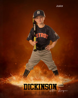 TB_ASTROS_Brandt_Dawson_DLL29672_ROF