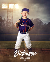 CP7_VIKINGS_Bunch_Braden_DLL12574_FIELD LIGHTS_