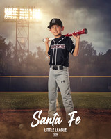 MINORS_WOODPECKERS_Marsolais_Thomas_IMGL9230_FIELDLIGHTS