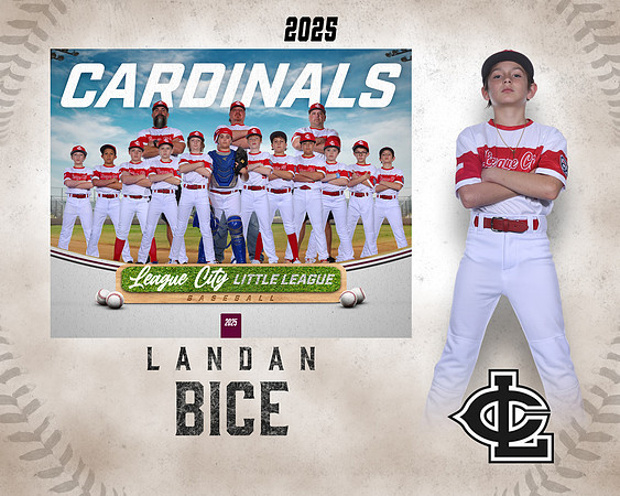 MJR.Powell.Cardinals_Bice_Landan_143A1728_MM