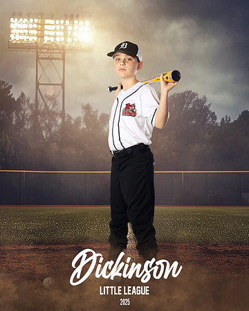 MINORS_THENUTS_Pack_Solomon_DLL12839_FIELD LIGHTS_