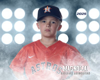 4_5U_Astros_Petersen_Ford_MAG25727_LIT