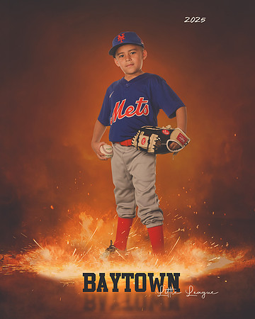 M2_ Mets_Gonzalez_Fidel_BAY12754_ROF