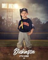 TB_ASTROS_DUES_LUKE_DLL29686_FIELD LIGHTS_