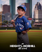TB_BLUEJAYS_Carrasco_Levi_IMGL1780_HTOWN_