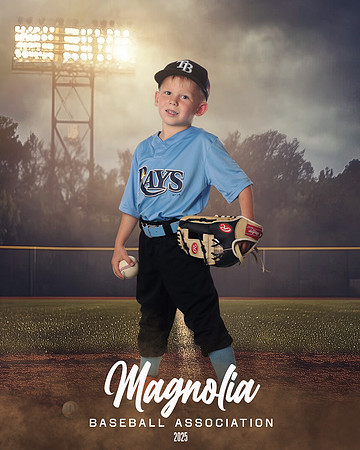 4_5U_Rays_Stephens_William_MAG25474_FIELD LIGHTS_