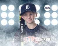 TB_ASTROS_Brandt_Dawson_DLL29672_LIT
