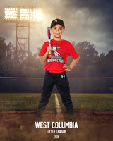 JR MINOR WOODPECKERS_Rios JR_Carlos_WC011001_FIELD LIGHTS_