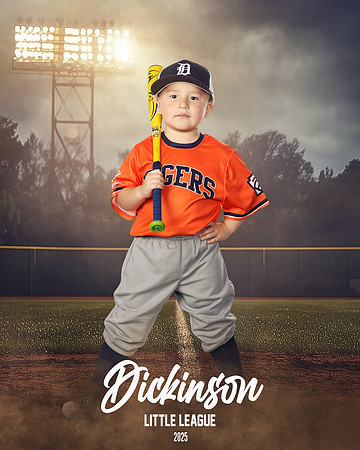 TB_TIGERS_villanueva_Giovanni_DLL11536_FIELD LIGHTS_
