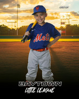 M2_ Mets_Gonzalez_Fidel_BAY12751_SUNSHINE