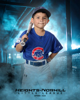 TB_CUBS_Carrasco_Levi_HN010336_DUGOUT