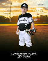 A.Johnston.WhiteSox_Mitschke_Carter_IMG_0894 (2)_SUNSHINE