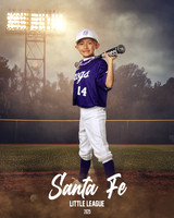 CP7_FROGS_Hanssard_Lincoln_SF110976_FIELDLIGHTS