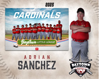 MJR_Cardinals_Sanchez_Adrian_BAY29900_MM