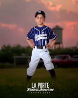 6U_Shetland_Yankees_Diaz_Damon_LP010750_TRUCK
