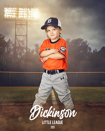 TB_TIGERS_Thorne_Anthony_DLL11622_FIELD LIGHTS_