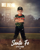 CP5_WOODDUCKS_Taboada III_Angel_IMGL8379_FIELDLIGHTS
