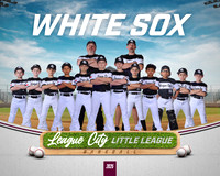 AA.Jenkins.WhiteSox_NO BG