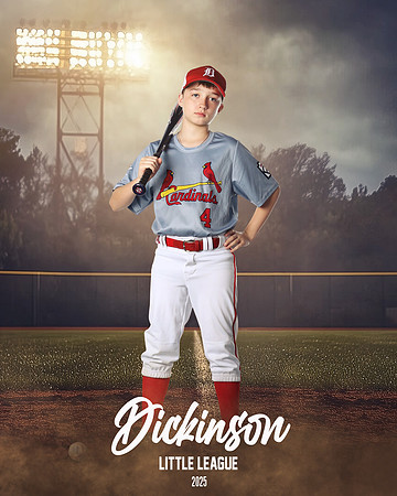 MJR_CARDINALS_Wood_Wyatt_DLL13017_FIELD LIGHTS_