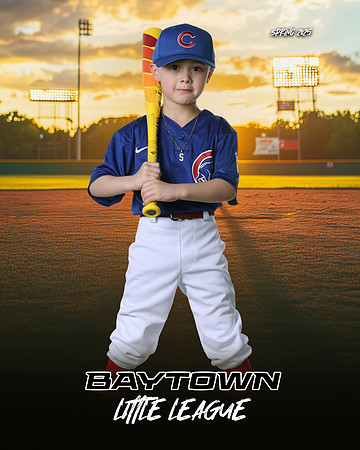 TB_ Cubs_Figueroa_Mason_BAY29782_SUNSHINE