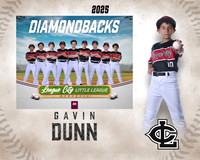 AA.Swartz.Diamondbacks_Dunn_Gavin_143A1455 (2)_MM_MM