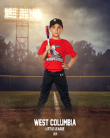JR MINOR WOODPECKERS_Rios JR_Carlos_WC011002_FIELD LIGHTS_