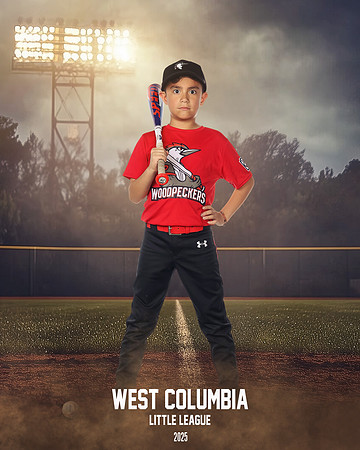 JR MINOR WOODPECKERS_Rios JR_Carlos_WC011002_FIELD LIGHTS_