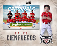 M3_ Cardinals_Cienfuegos_Caleb_BAY28067_MM