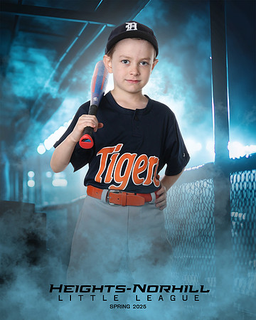 PW_TIGERS_Dees_Archer_HN010099_DUGOUT