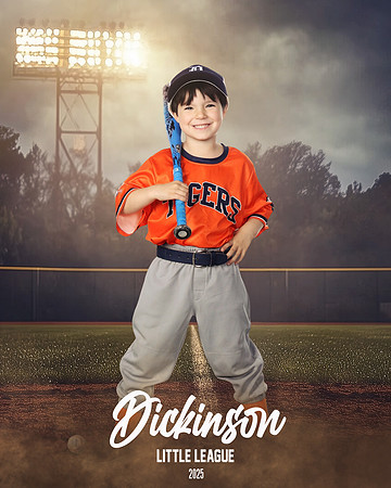 TB_TIGERS_Smith_William_DLL11543_FIELD LIGHTS_