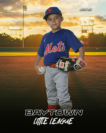 M2_ Mets_Gonzalez_Fidel_BAY12754_SUNSHINE