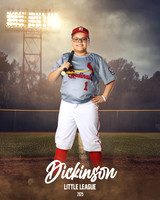 MJR_CARDINALS_Torres_Brody_DLL13156_FIELD LIGHTS_