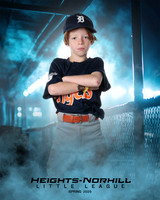 PW_TIGERS_George_Theodore_HN010165_DUGOUT