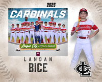 MJR.Powell.Cardinals_Bice_Landan_143A1729_MM