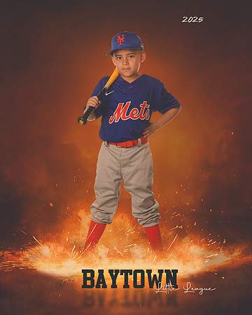 M2_ Mets_Gonzalez_Fidel_BAY12750_ROF