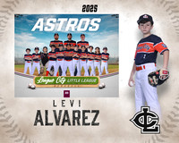 AA.Cowling.Astros_Alvarez_Levi_143A1297_MM_MM