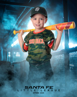 CP5_WOODDUCKS_Mills_Jacob_IMGL8344_DUGOUT