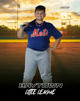 M1_Mets_Thurgood_Chandler_BAY12781_SUNSHINE