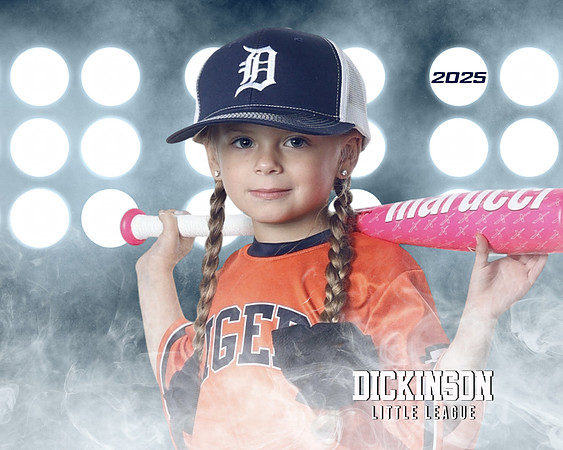TB_TIGERS_Shafer_Harper_DLL12294_LIT