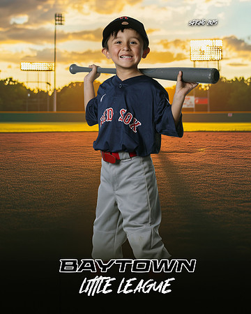 TB_ Red Sox_Michel_Michael_BAY28837_SUNSHINE