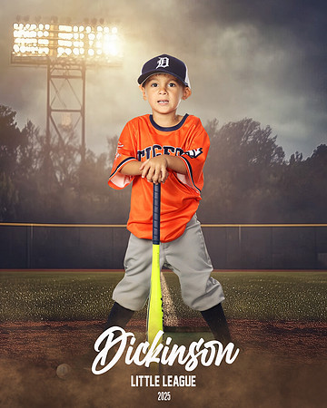 TB_TIGERS_Tiffany_Charles_DLL11646_FIELD LIGHTS_