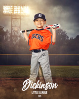 TB_TIGERS_Polk_Maddox_DLL11519_FIELD LIGHTS_