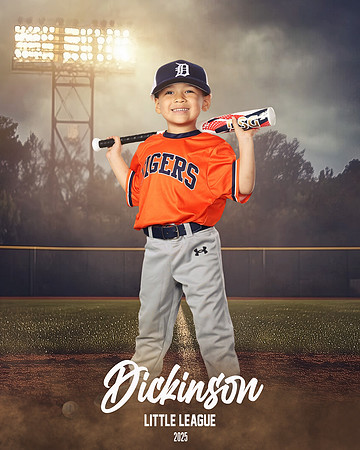 TB_TIGERS_Polk_Maddox_DLL11519_FIELD LIGHTS_