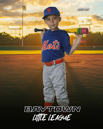 M2_ Mets_Gonzalez_Fidel_BAY12752_SUNSHINE