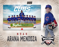 M3_ Cubs_Arana Mendoza_NOAH_BAY12263_MM